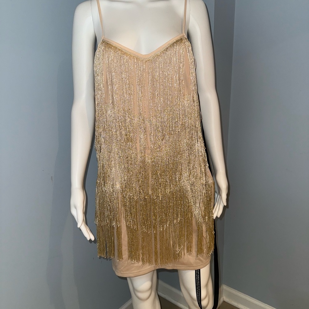 PLT Shimmering Gold Fringe Dress